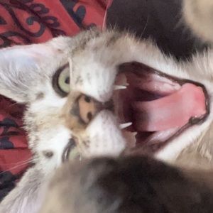 Meet your Posher, Ana sophia